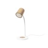Lampe Multifonction - Borstein