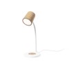 Lampe Multifonction - Borstein