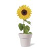Pot de Fleurs - Tumil