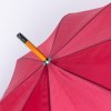 Parapluie - Lagont