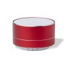 Haut-Parleur - Skind