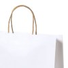 Sac - Cynthia