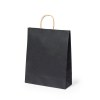 Sac - Linel