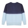 Sweat-Shirt Adulte - Truyi