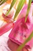 VINGA Bouteille d'eau 600ml Lean