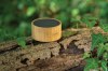 Enceinte 3W en bambou et ABS RCS