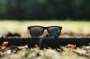 Lunettes de soleil en bambou et plastique recyclé RCS