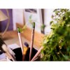 Sproutworld Unsharpened Pencil crayon non taillé