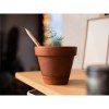 Sproutworld Unsharpened Pencil crayon non taillé