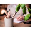 Sproutworld Unsharpened Pencil crayon non taillé