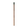 Sproutworld Unsharpened Pencil crayon non taillé