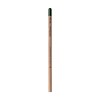 Sproutworld Unsharpened Pencil crayon non taillé