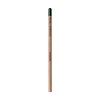 Sproutworld Unsharpened Pencil crayon non taillé