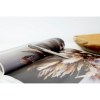 Stylo bille Waterman Graduate
