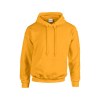 Heavy Blend Hood Heavy Blend Hood sweatshirt