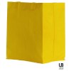 Petit sac shopping 100grs pp tissé laminé bords francs