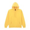 Sweat-shirt à capuche Midweight Softstyle