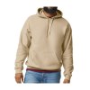 Sweat à capuche unisexe