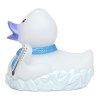 Canard