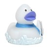 Canard