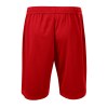 Short Homme Malfini