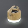 Enceinte sans fil RORAT