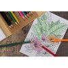 Livre de coloriage avec crayons BETSO