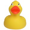 Canard uni