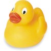 Canard uni