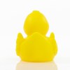 Canard uni