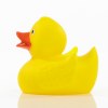 Canard uni