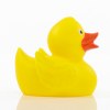 Canard uni