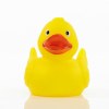 Canard uni