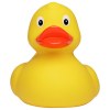 Canard de course