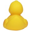 Canard de course