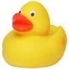 Canard de course