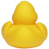 Canard de course