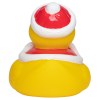 Canard hiver