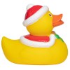 Canard hiver