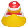 Canard hiver