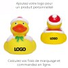 Canard hiver