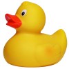 Canard uni