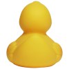 Canard uni