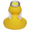 Canard hiver