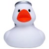 Canard hiver