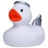 Canard hiver