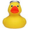 Canard hiver