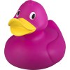 Canard géant