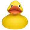 Canard géant