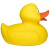 Canard géant